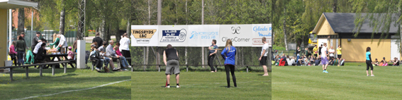 BrÃ¤nboll 2012.png