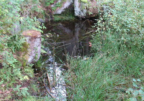 KÃ¤lla LidhemsvÃ¤gen.jpg