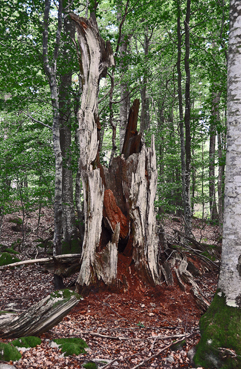 Vecklinge vik_2009 09 02_0009_redigerad-1.jpg