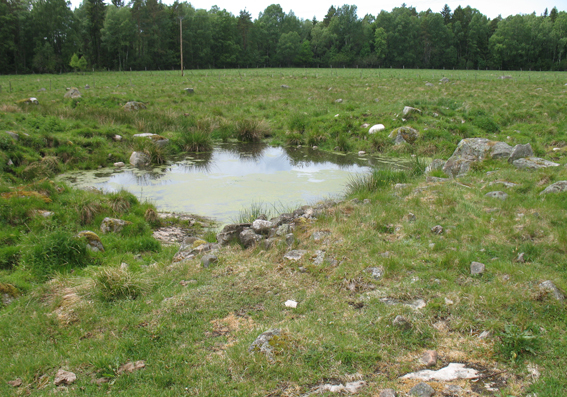 lvakÃ¤llan Boaryd_0.jpg